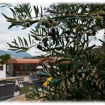 Hostal- Restaurante Estacion Via Olvera